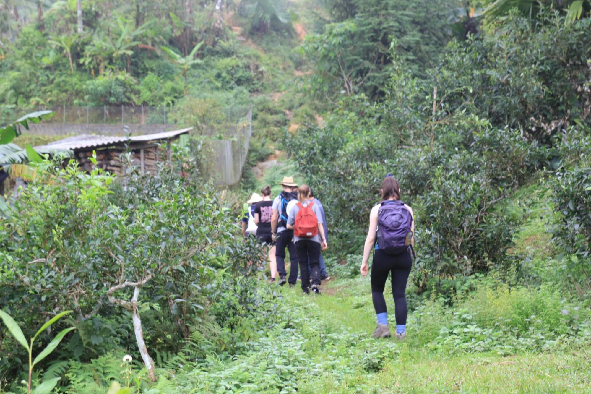Thavill Retreat Hagiang Apartment Ha Giang Luaran gambar